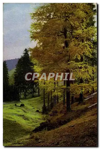 Cartes postales Fantaisie Paysage