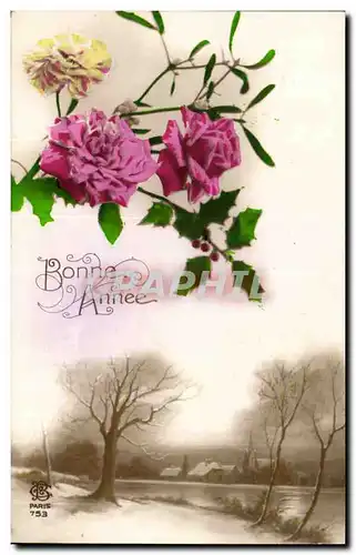 Cartes postales FAntaisie Bonne annee