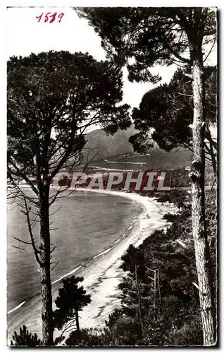 Cartes postales moderne Environs de Cavalaire sur Mer La plage de PArdigon