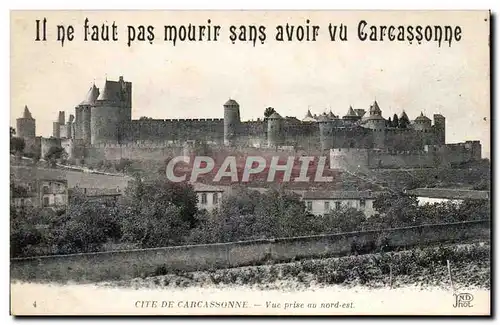 Ansichtskarte AK Cite de Carcassonne Vue prise du nord esdt