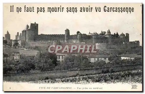 Cartes postales Cite de Carcassonne Vue prise du nord esdt