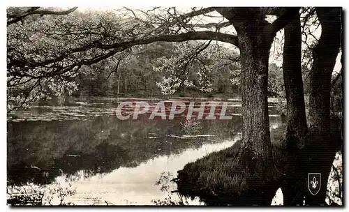 Cartes postales moderne Foret de Troncais etang de Piret