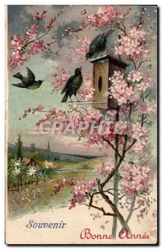 Cartes postales Souvenir Bonne annee Fleurs Oiseaux