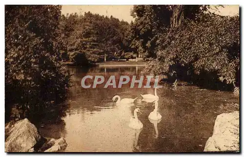 Cartes postales Montpellier l&#39esplanade Le lac