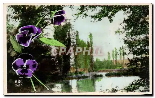 Cartes postales Paysage