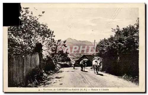 Ansichtskarte AK Environs de CApvern les Bains Retour a l&#39etable (boeufs)