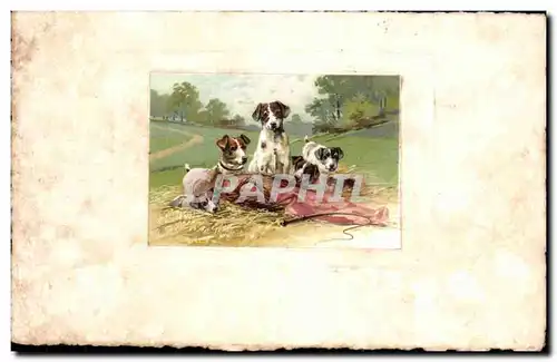 Cartes postales Fantaisie Chien Dog