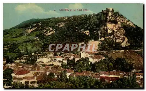 Cartes postales Salins et le fort Belin