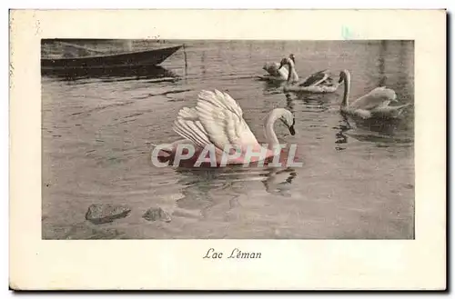 Cartes postales Fantaisie Lac Leman Cygne Swan