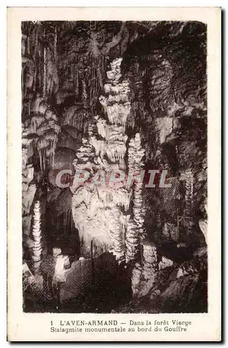 Cartes postales L'Aven Armand Dans la foret vierge Stalagmite monumentale au bord du gouffre