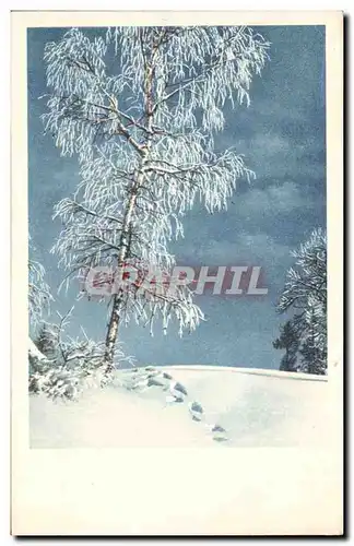 Cartes postales Traces dans la neige en montagne