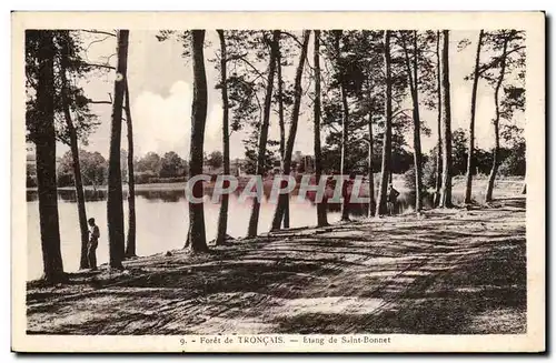 Cartes postales Foret de TRoncais Etang de Saint Bonnet