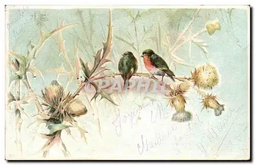 Cartes postales Fantaisie Oiseau