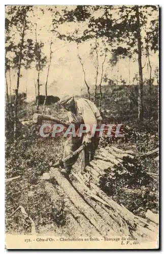 REPRODUCTION Cote d&#39or Charbonniers en forte Ecorcage du chene