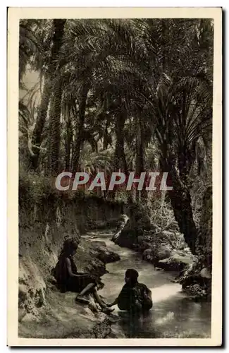 Cartes postales Afrique Nord l'oasis