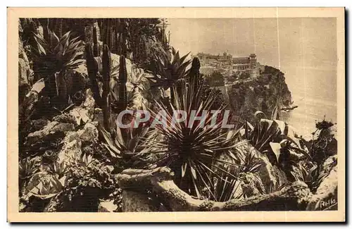 Cartes postales Monte Carlo les jardins exotiques et le rocher de Monaco