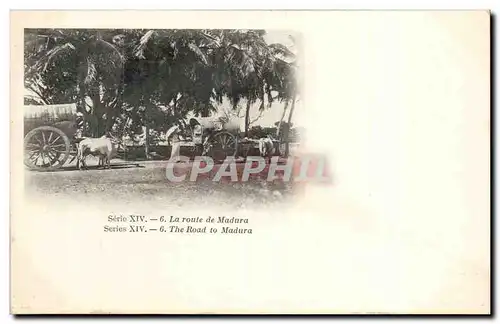 Cartes postales Inde India La route de Madura ( boeufs )