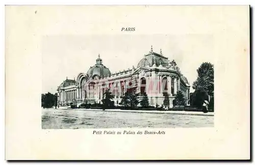 Paris Cartes postales Petit palais ou palais des Beaux Arts