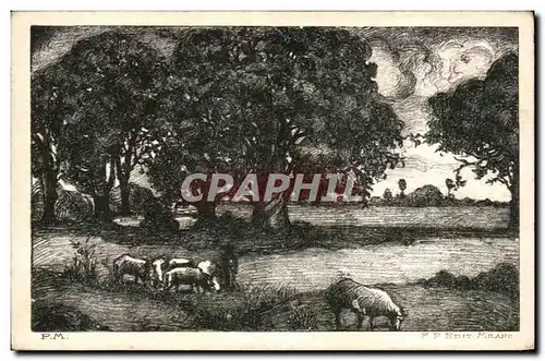 Cartes postales Paysge bucolique Moutons