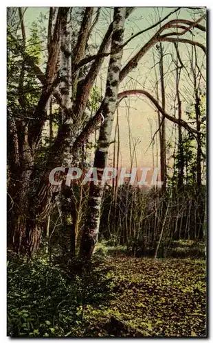 Cartes postales Fantaisie paysage