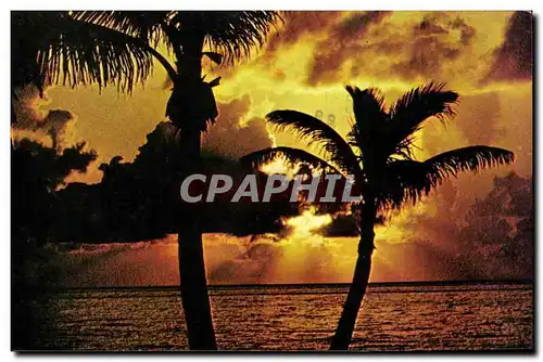 Cartes postales moderne Etats Unis Florida