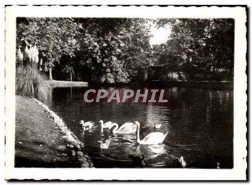 Cartes postales Tarbes