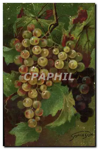 Cartes postales Fantaisie Grappe de raisin