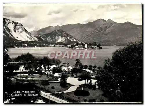 Cartes postales moderne Italie Italie Lago Maggiore Giardini di Stresa