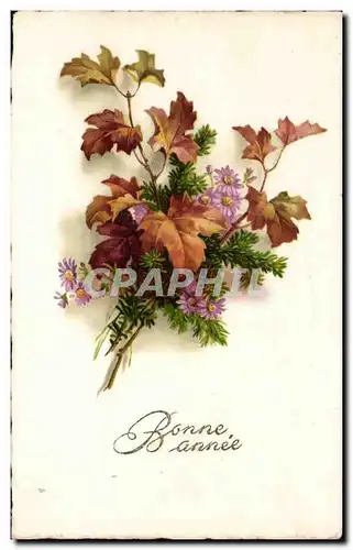 Cartes postales Fantaisie Bonne annee Fleurs