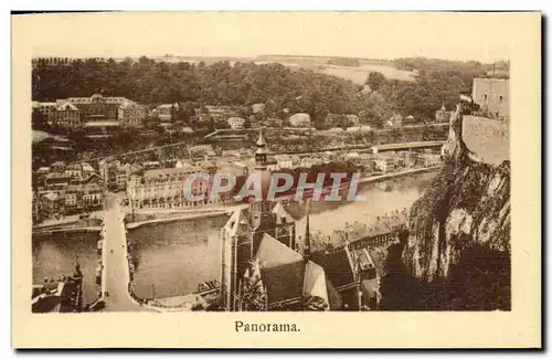 Dinant Cartes postales Panorama
