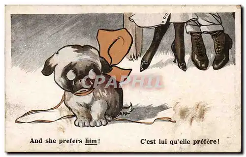 Cartes postales Fantaisie Chien Dog And she prefers him