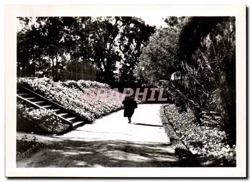 Cartes postales moderne Maroc Mazagan Parc Paul Doumer