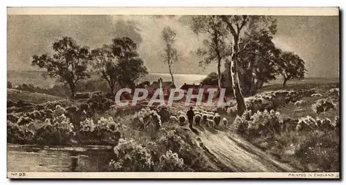 Cartes postales Fantaisie Paysage Moutons