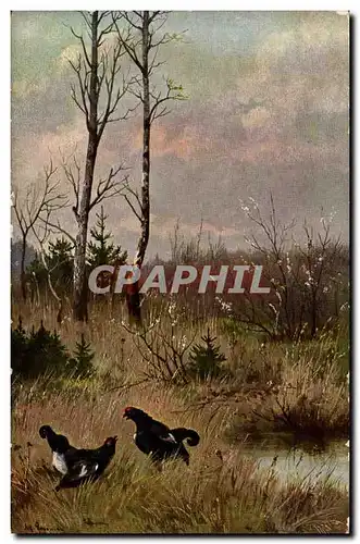 Cartes postales Fantaisie Paysage Poules