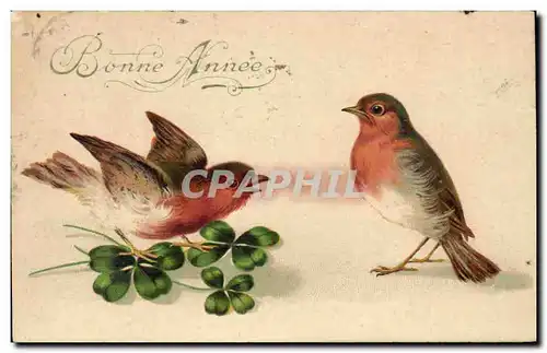 Cartes postales Fantaisie Oiseau