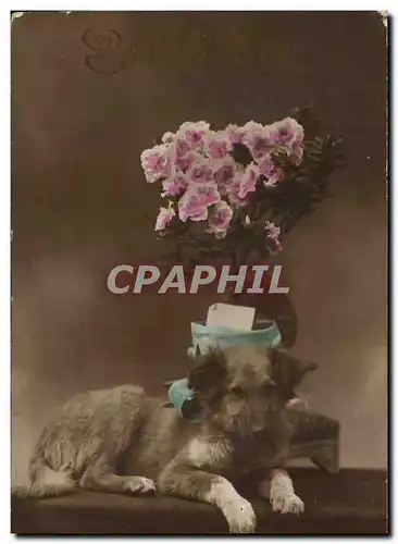 Cartes postales Fantaisie Chien