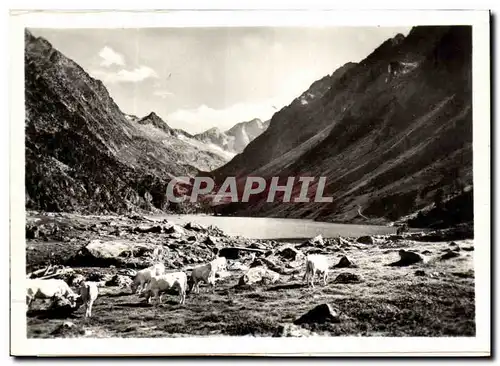 Cartes postales moderne Cauterets Le lac de Gaube et le Vignemale