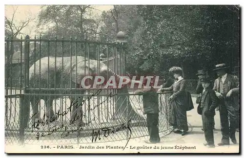 Paris Cartes postales Jardin des plantes Elephant le gouter