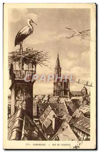 Strasbourg Cartes postales Cathedrale Nid de cigognes