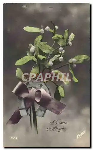 Cartes postales Fantaisie fleurs Bonne Annee Gui