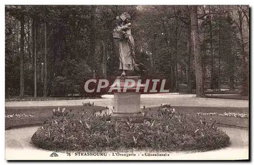 Strasbourg Cartes postales Orangerie