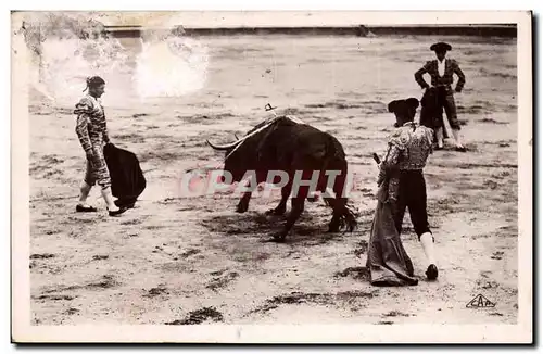 Cartes postales Cours de taureaux Corrida Toro Le taureau s&#39effondre apres le coup d&#39epee