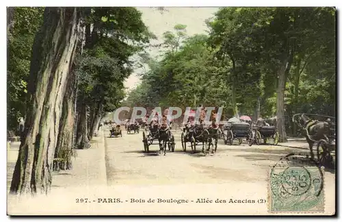 Paris - 16 - Bois de Boulogne - Allee des Acacias - Ansichtskarte AK