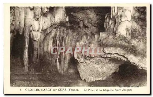 Cartes postales Grottes d'Arcy sur Cure Le pilier et la coquille Saint Jacques