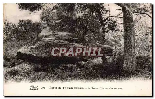 Ansichtskarte AK Foret de Fontainebleau La tortue gorges d&#39Apremont