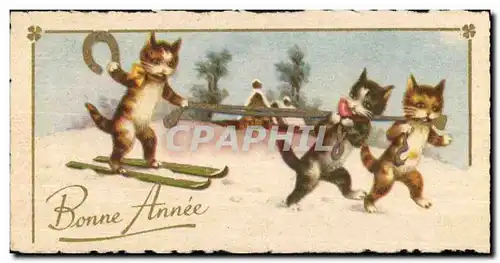 Fetes - Bonne Annee - This cat can ski - 3 cats - chat - fer a cheval - horse shoe - Cartes postales