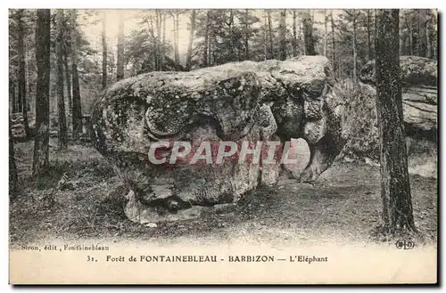 Foret de Fontainebleau Ansichtskarte AK Barbizon L&#39 elephant