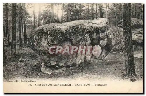 Foret de Fontainebleau Cartes postales Barbizon L&#39 elephant