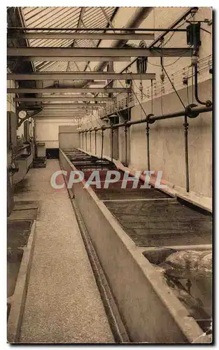 Cartes postales Anvers jardin zoologique Aquarium Corridor de service