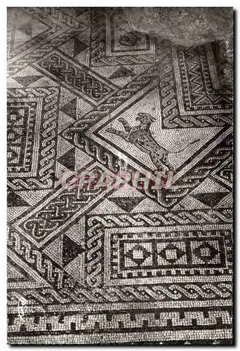 Grand Cartes postales moderne Vue d'une aprtie de la mosaique romaine